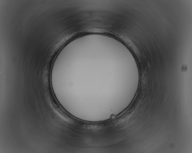 X0000089360533200707131617