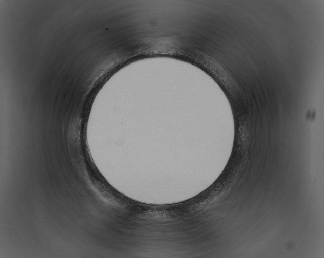 X0000089360534200707131617