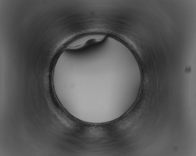 X0000089360535200707131617