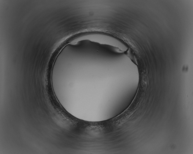 X0000089360536200707131617