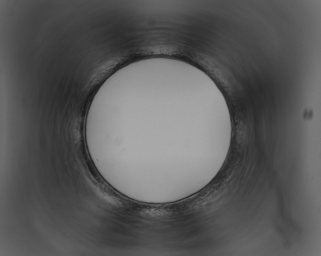 X0000089360537200707131617