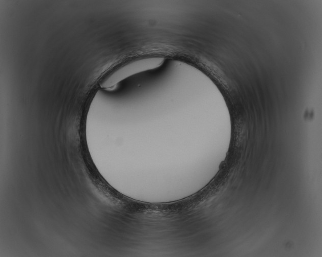 X0000089360538200707131617
