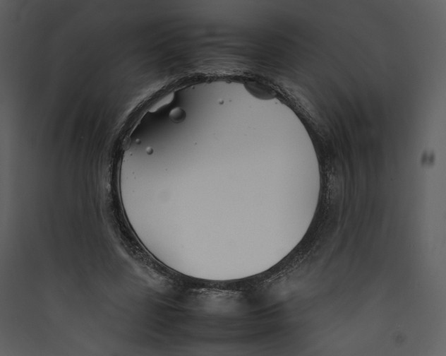 X0000089360539200707131617