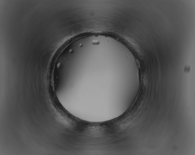 X0000089360540200707131617