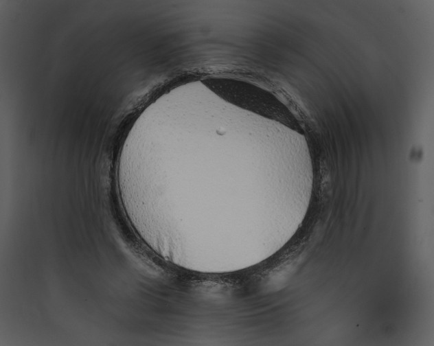 X0000089360542200707131617