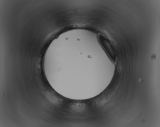X0000089360543200707131617