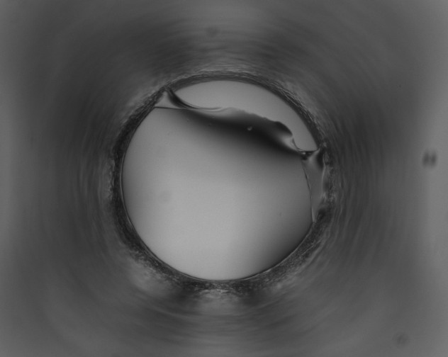 X0000089360544200707131617