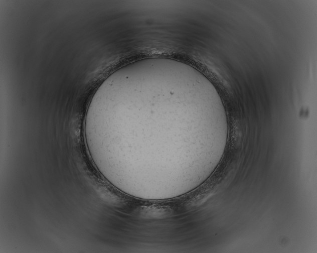 X0000089360545200707131617