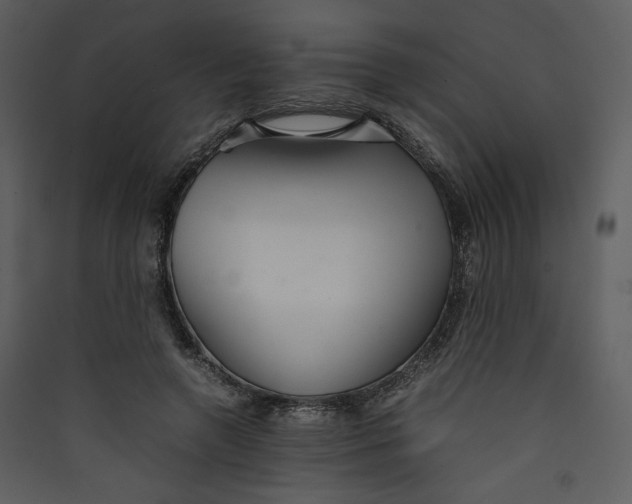 X0000089360546200707131617