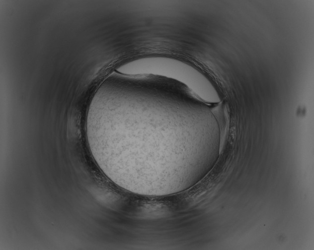 X0000089360547200707131617
