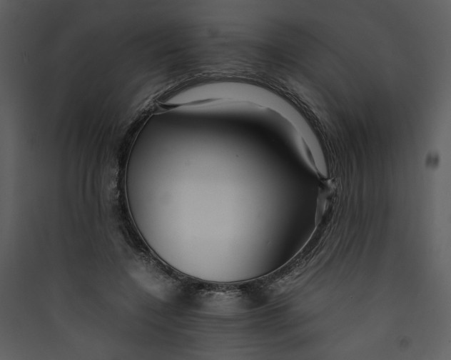 X0000089360548200707131617