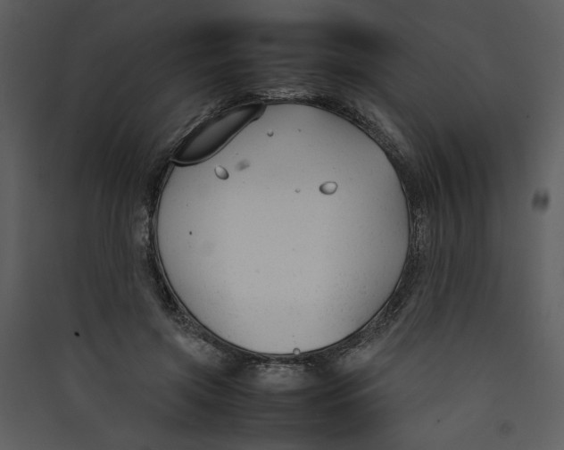 X0000089360549200707131617