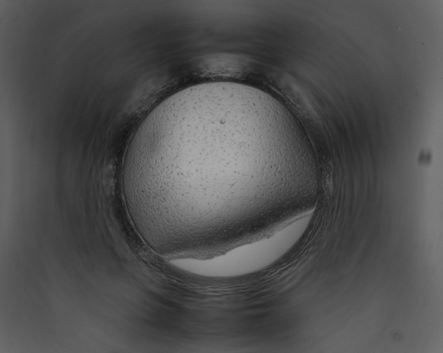 X0000089360551200707131617