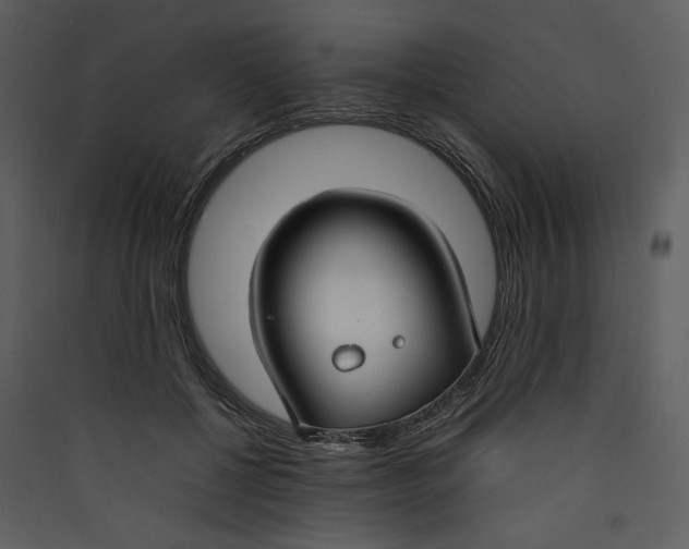 X0000089360552200707131617