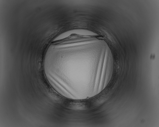 X0000089360553200707131617