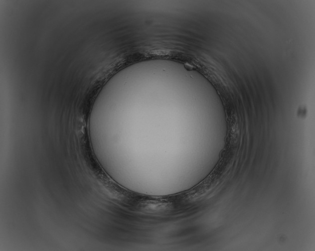 X0000089360555200707131617