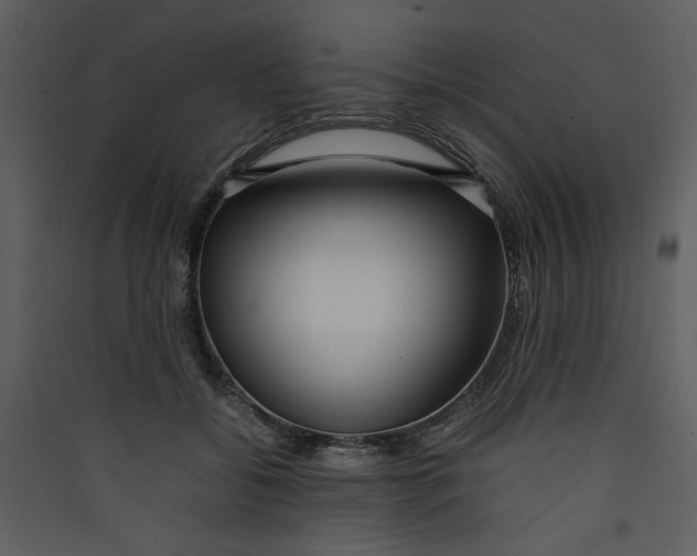 X0000089360556200707131617