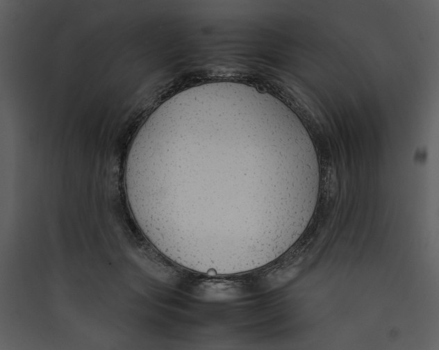 X0000089360557200707131617