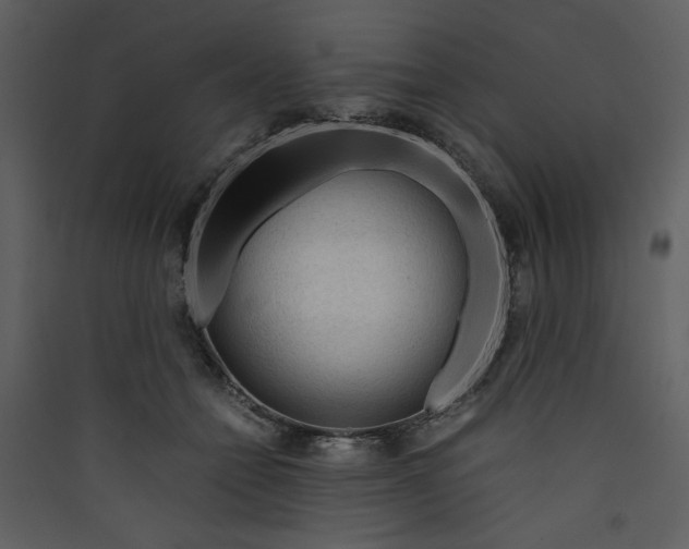 X0000089360558200707131617
