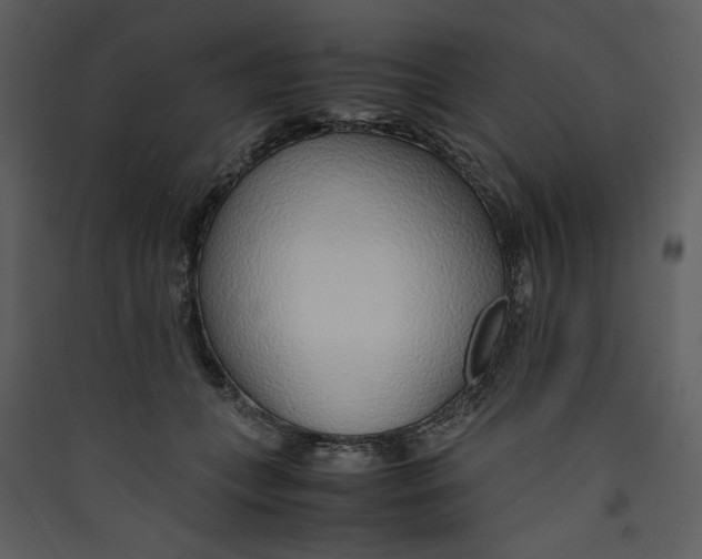 X0000089360559200707131617