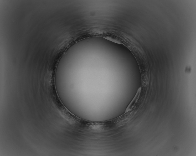 X0000089360560200707131617