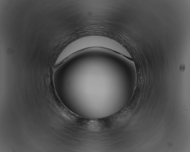 X0000089360562200707131617
