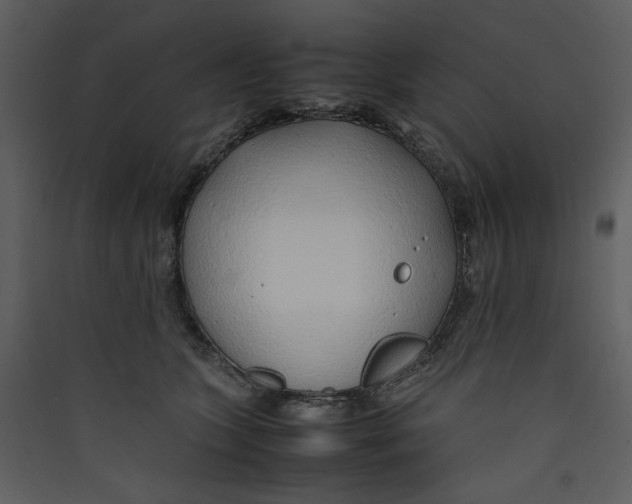X0000089360563200707131617