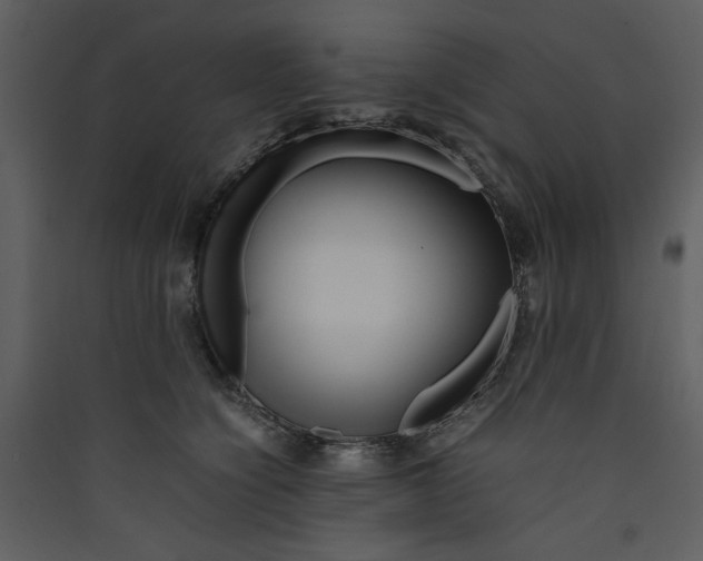X0000089360564200707131617