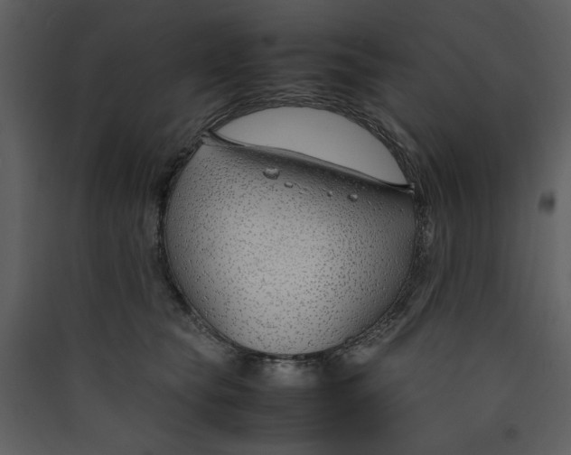 X0000089360565200707131617