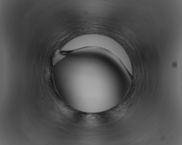 X0000089360566200707131617