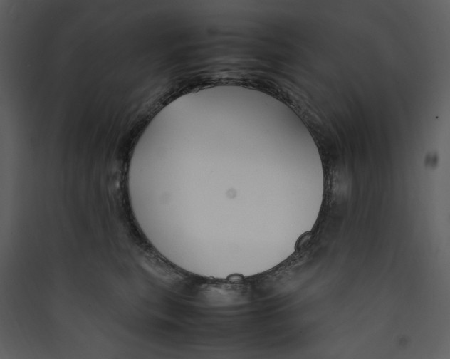 X0000089360567200707131617