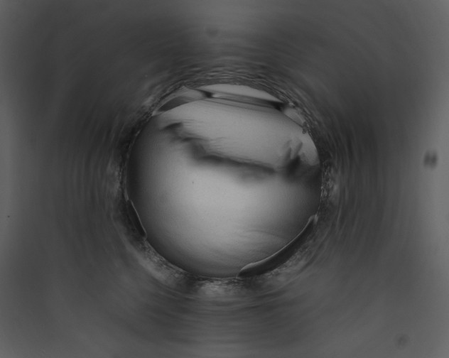 X0000089360568200707131617
