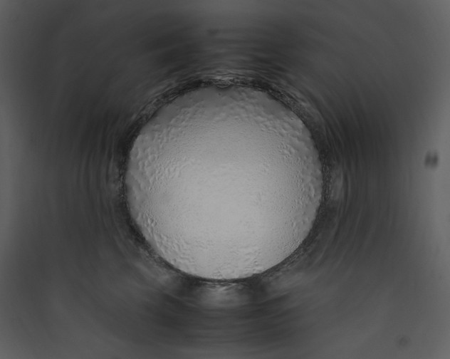 X0000089360569200707131617