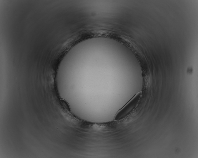 X0000089360570200707131617