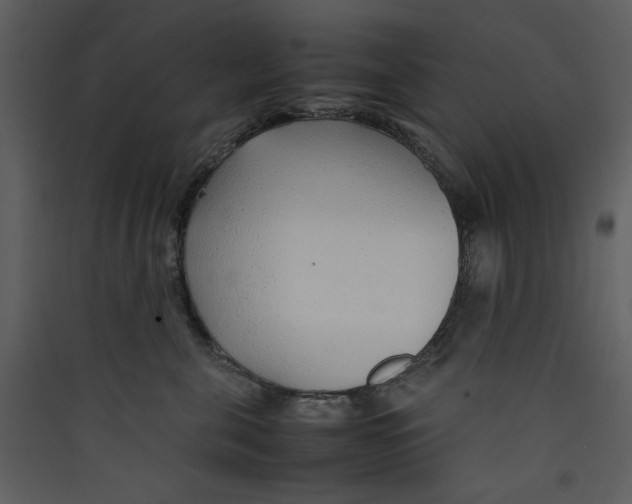 X0000089360571200707131617