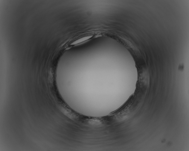 X0000089360572200707131617
