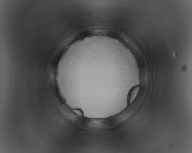 X0000089360573200707131617