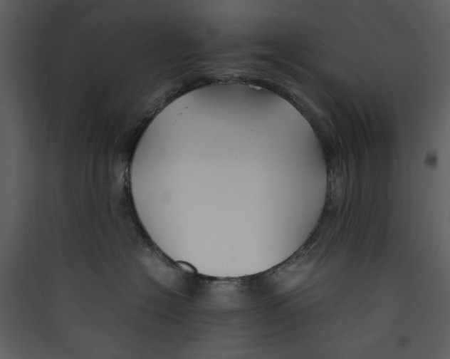 X0000089360574200707131617
