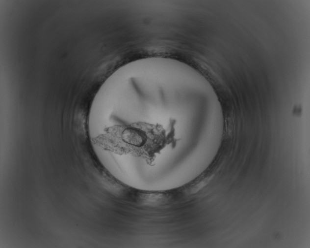 X0000089360575200707131617