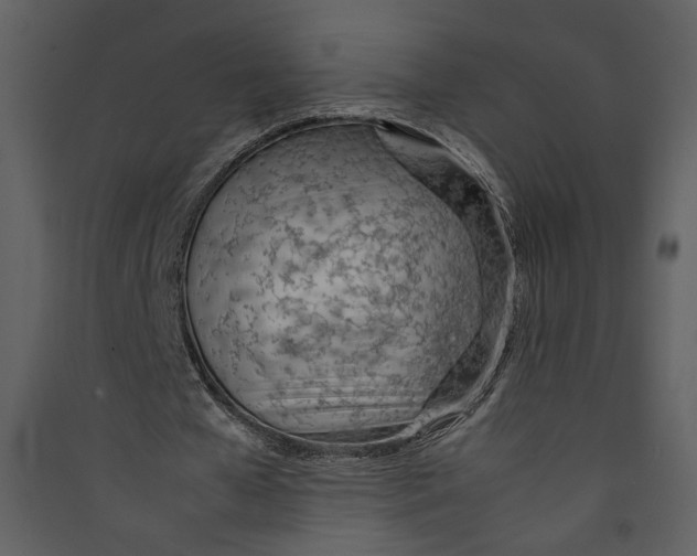 X0000089360577200707131616