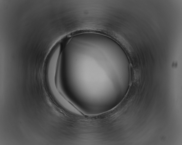 X0000089360580200707131616