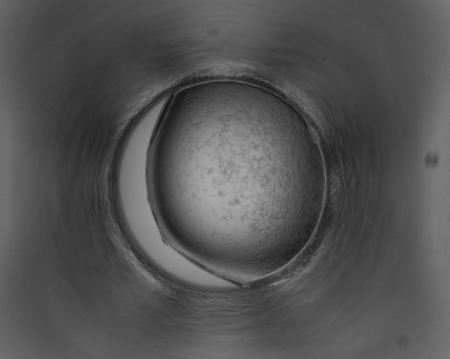 X0000089360581200707131616