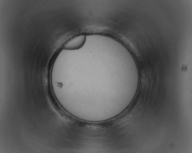 X0000089360582200707131616