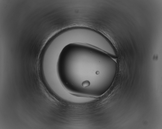 X0000089360584200707131616