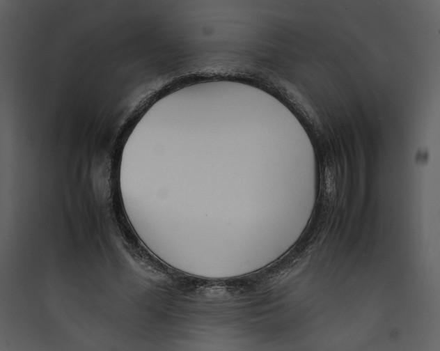 X0000089360588200707131616