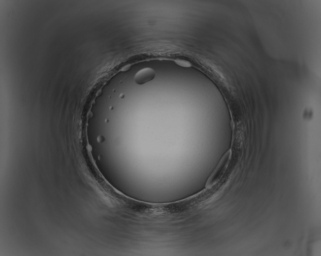 X0000089360589200707131616