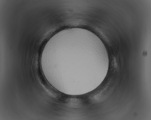 X0000089360590200707131616