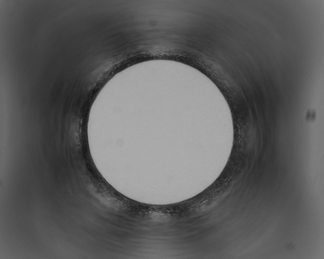 X0000089360592200707131616