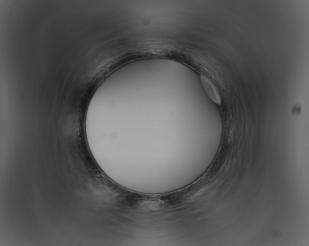 X0000089360595200707131616