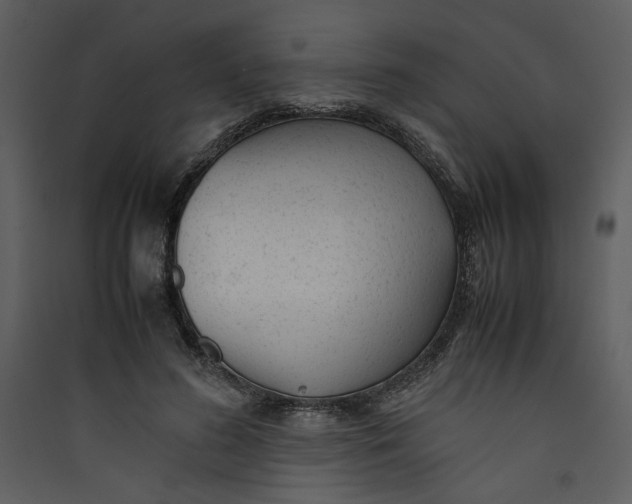 X0000089360596200707131616